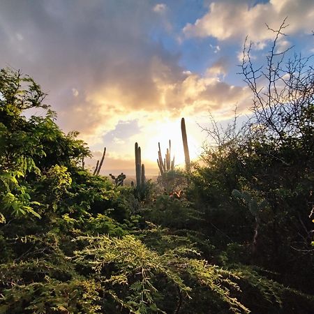 Saint Joris A Tiny Boutique Resort Willemstad Esterno foto
