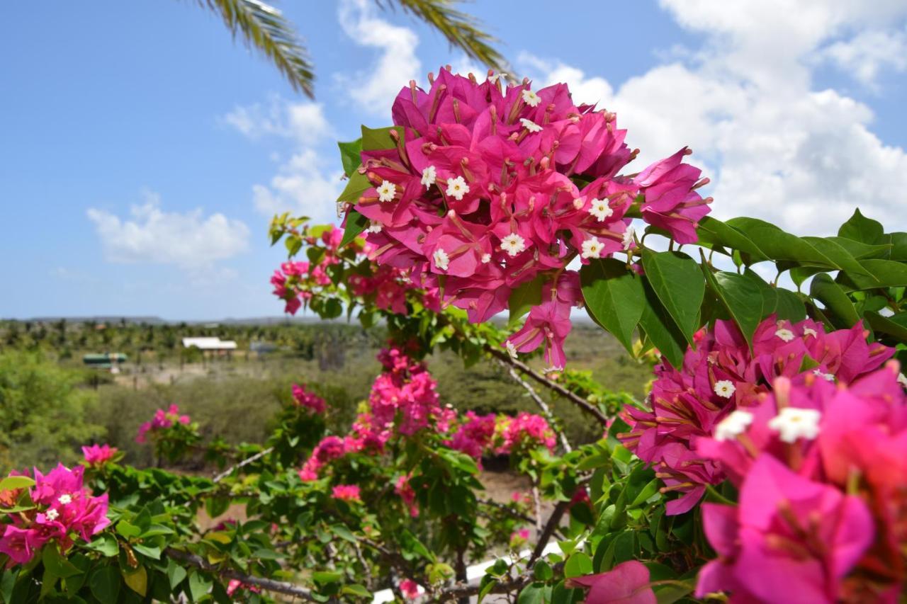 Saint Joris A Tiny Boutique Resort Willemstad Esterno foto