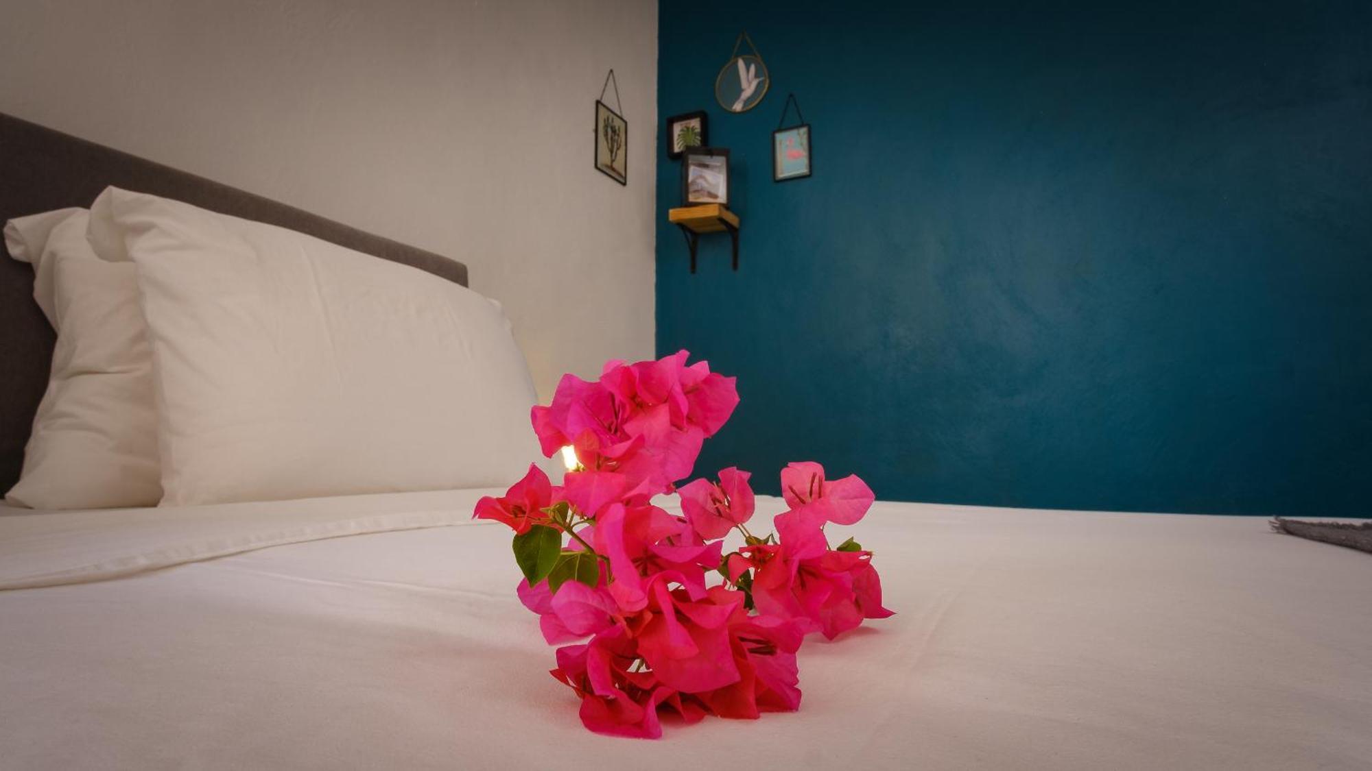 Saint Joris A Tiny Boutique Resort Willemstad Esterno foto